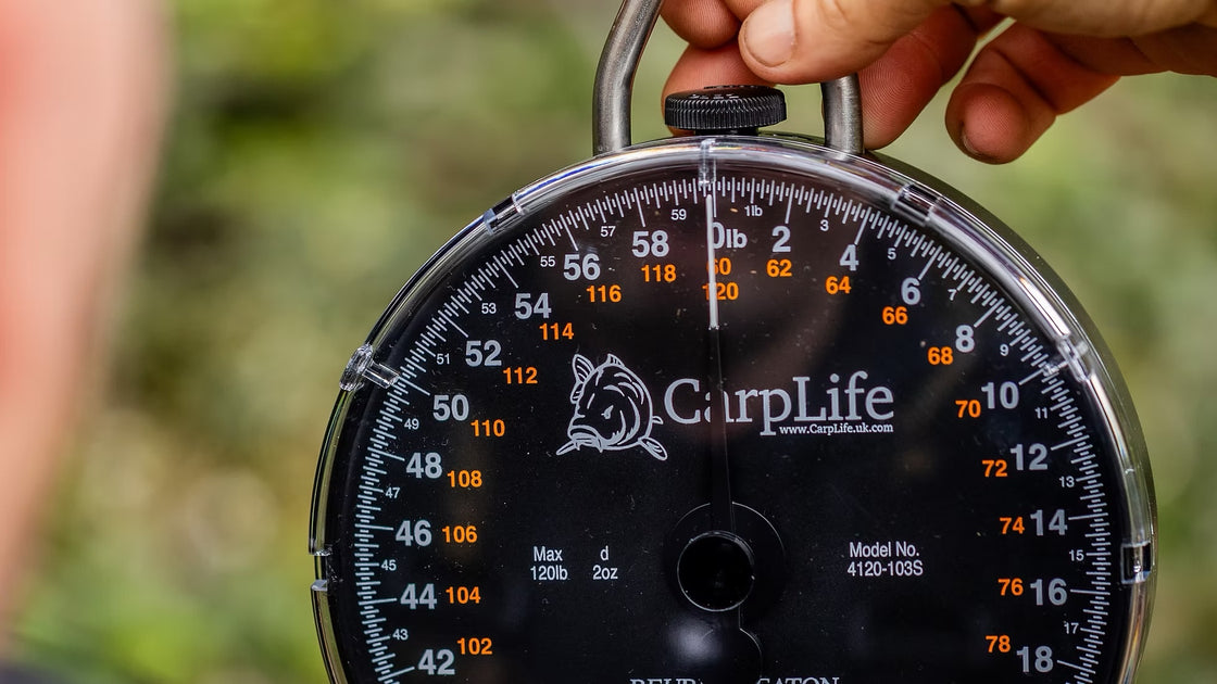 Carplife specimen scales & dial pouch