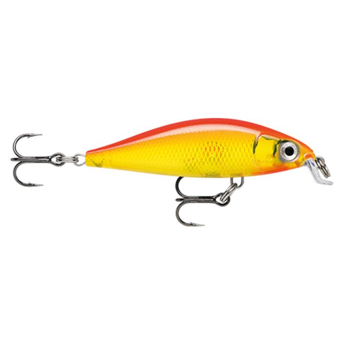 Rapala minnow 05