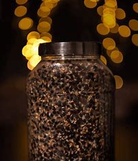 STANFORD TACKLE PREPARED PARTICLES 3L JARS
