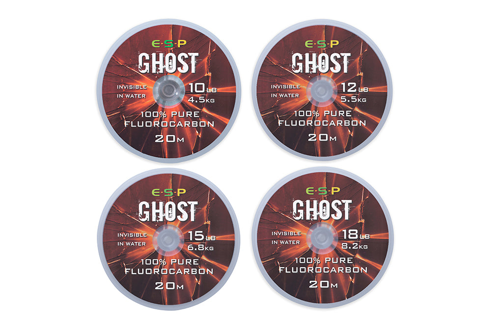 ESP Ghost