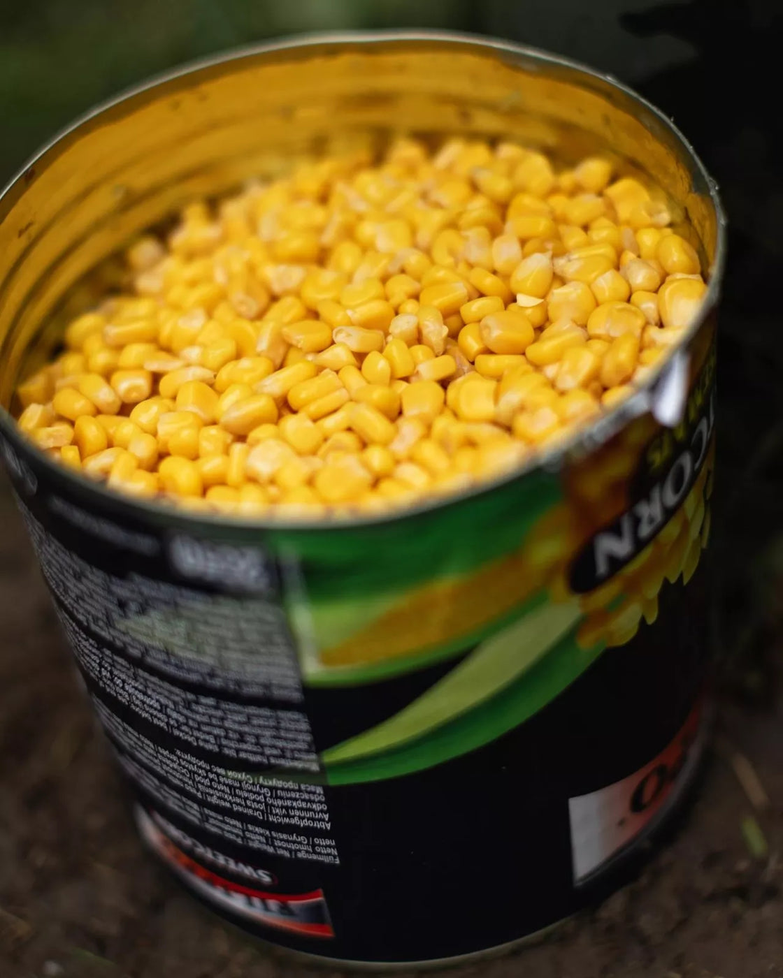Korda Filippo Tinned Sweetcorn 2.15kg