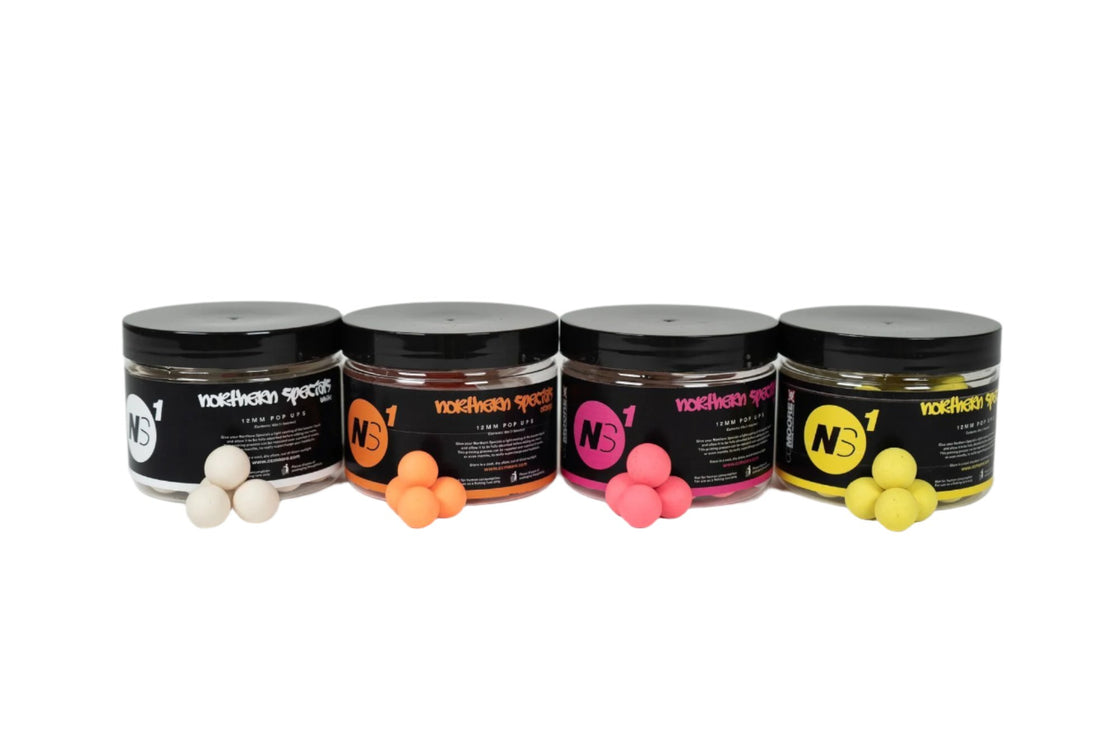 CC Moore NS1 Northern Specials Pop Ups Orange